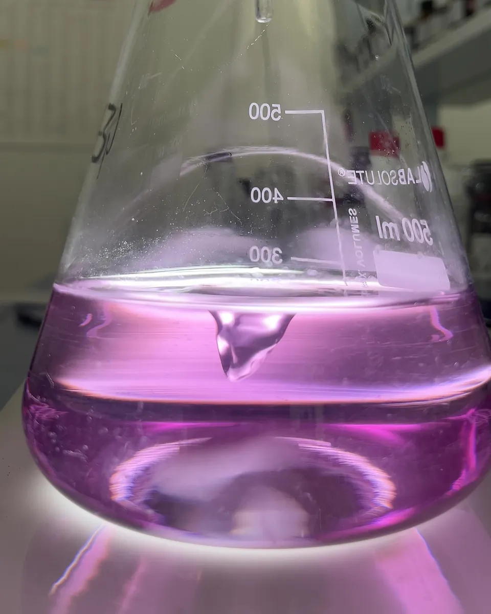 Rosafarbene Lösung im Erlenmeyerkolben, Titration kurz vor dem Umschlag